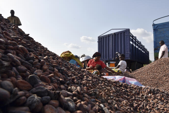 Un centre de tri du cacao, à Sobré, en Côte d’Ivoire, en 2017.