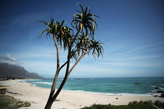 La plage de Camps Bay, au Cap, en Afrique du Sud, le 19 août. Habituellement, le lieu est rempli de touristes étrangers.
