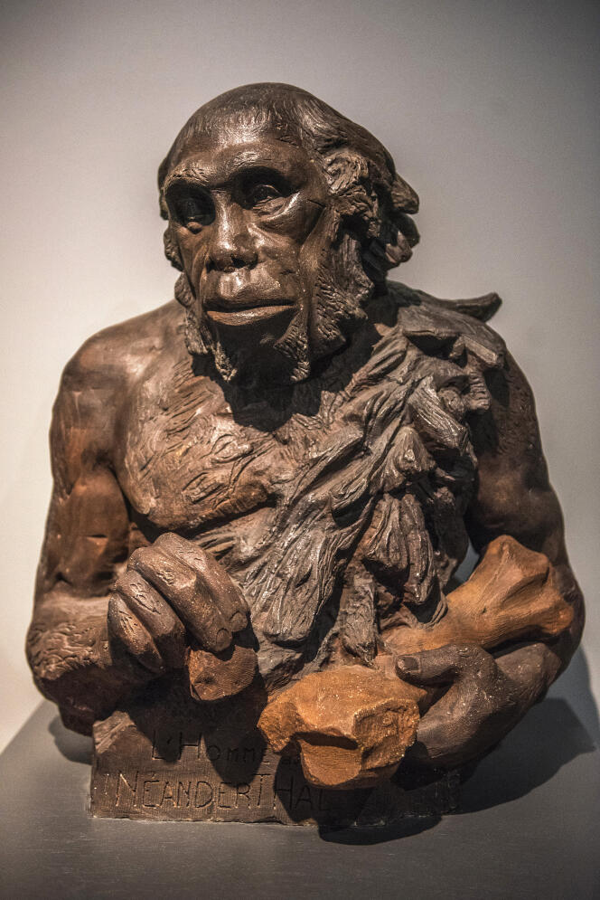 Réplique de l'homme de Neandertal, au Musée d’Aquitaine, à Bordeaux.