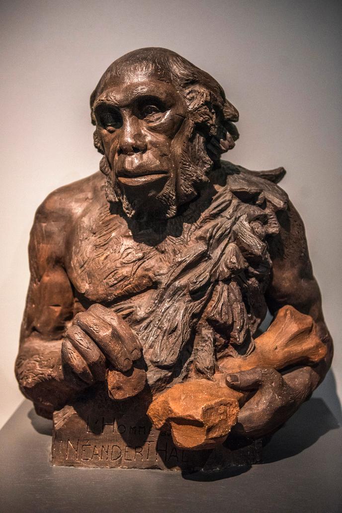 Réplique de l'homme de Neandertal, au Musée d’Aquitaine, à Bordeaux.