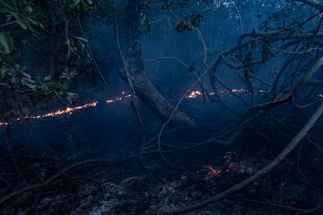 Um dos muitos incêndios que devastaram o Pantanal, uma vasta área de biodiversidade que abriga 650 espécies de pássaros.