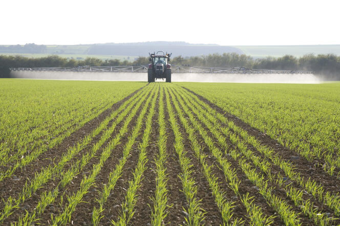 Pulvérisation de pesticides sur un champ de céréales en France.