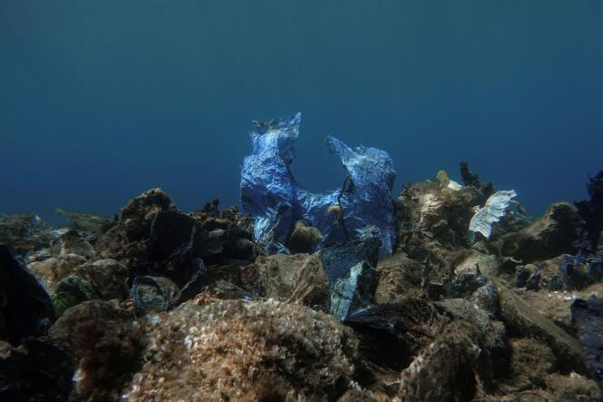 Un sac en plastique au fond de la mer, au large de l’île d’Andros (Grèce).