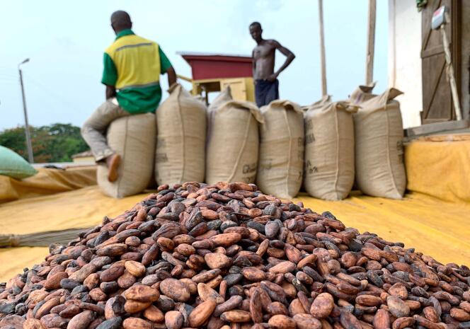 Des fèves de cacao dans un entrepôt près de Sunyani, au Ghana, en avril 2019.