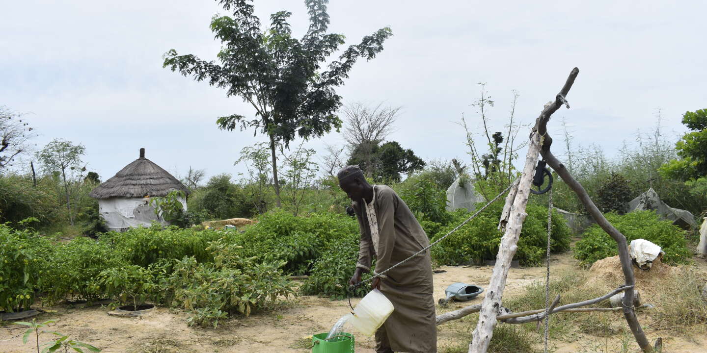 Au Sénégal, miser sur l’agroécologie pour un développement plus durable
