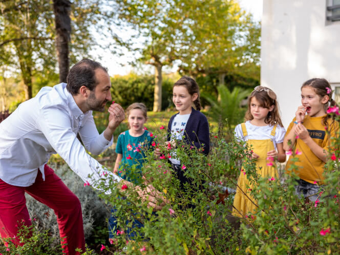 Le chef Cédric Béchade (à L’Auberge basque, à Saint-Pée-sur-Nivelle) fait déguster des fleurs de sauge aux enfants, lors d’un atelier cuisine.