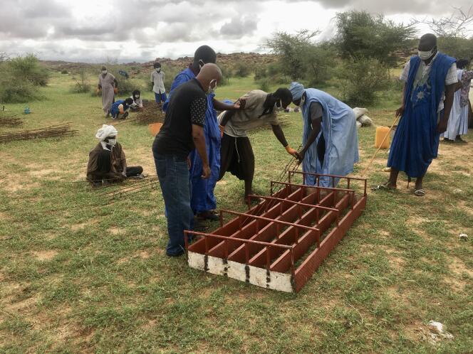 Des habitants du village de Gvava Peulh, en Mauritanie, construisent une clôure pur protéger leurs récoltes, en septembre 2020.