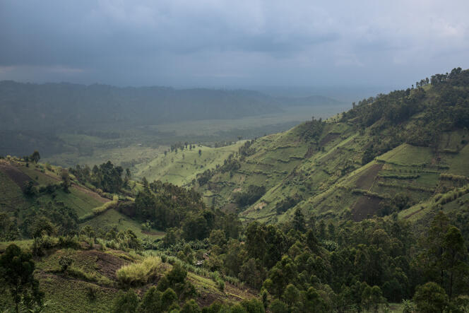 Dans le Parc national des Virunga, en septembre 2019.