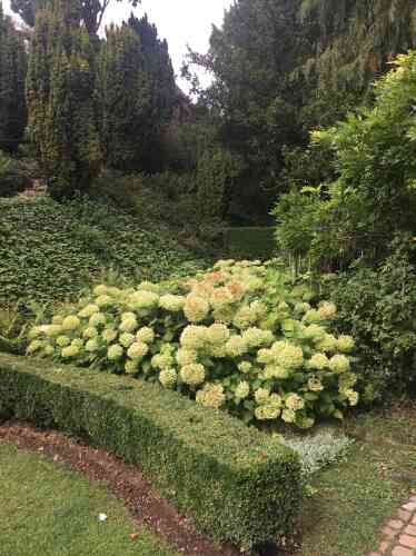 Le jardin d’Henri Le Sidaner est fait d’une juxtaposition de parcelles arborées et fleuries qui épousent le relief accidenté du site.