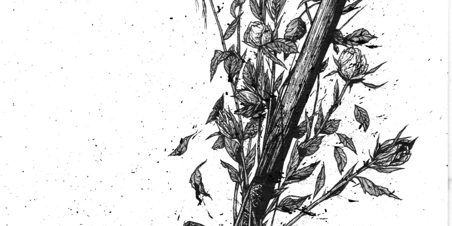 J Ai Epouse Un Mort Dans Quelles Conditions Un Mariage Posthume Est Il Autorise