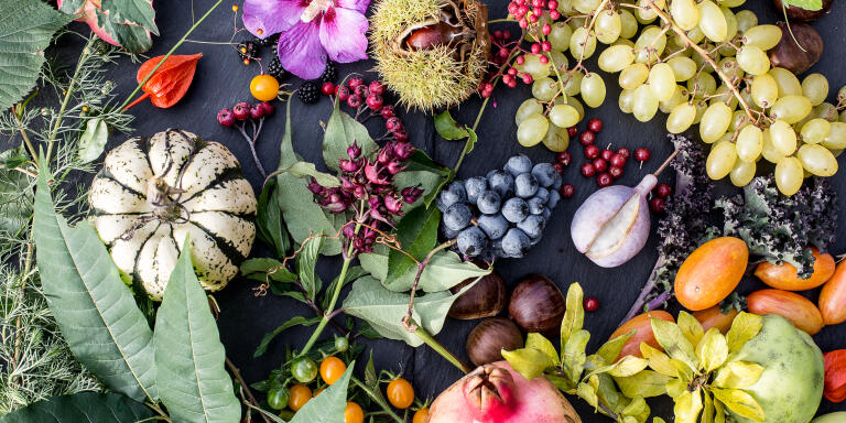 Le 7 octobre 2020 à Diconne en Saône et Loire. Fabrice Desjours a planté une fôret comestible sur son terrain. Exemple de récoltes d'automne obtenues sans entrants ni arrosage: châtaignes, raisins, akébie, choux kale, grenade rustique, cèdrele de Chine, poivre de Sichuan, chalef d'Automne, aronies, mûres, fleurs d'hibiscus, tomate 