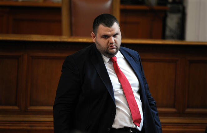 Delyan Peevski, député du Mouvement des droits et des libertés (DPS), au Parlement, à Sofia, le 29 mai 2013.