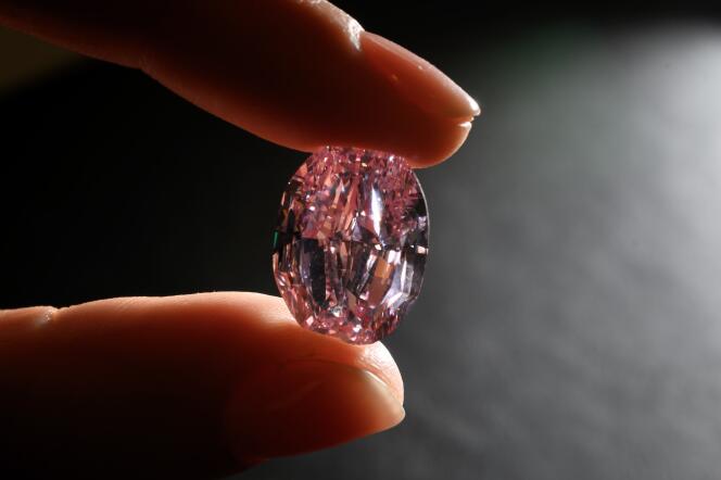 « Le Spectre de la rose », un rare diamant rose violet vif de 14,83 carats, présenté à Genève le 6 novembre.