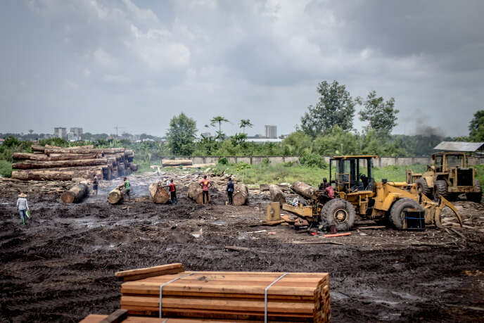 Une scierie près de Douala, où les grumes sont entreposées avant d’être exportées.