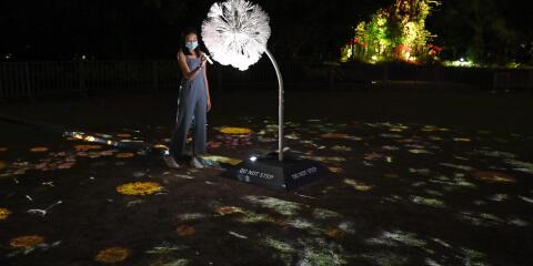 A woman scans her smartphone at the interactive installation "Dandelion" that connects people in Singapore and Japan at the Gardens by the Bay’s Supertree Grove in Singapore on November 9, 2020, with organisers saying the multimedia project enables connection between the two countries while international travel remains stifled due to the Covid-19 coronavirus pandemic. RESTRICTED TO EDITORIAL USE - MANDATORY MENTION OF THE ARTIST UPON PUBLICATION - TO ILLUSTRATE THE EVENT AS SPECIFIED IN THE CAPTION / AFP / ROSLAN RAHMAN / RESTRICTED TO EDITORIAL USE - MANDATORY MENTION OF THE ARTIST UPON PUBLICATION - TO ILLUSTRATE THE EVENT AS SPECIFIED IN THE CAPTION
