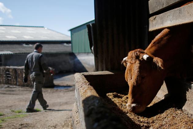 A La Chapelle-Caro (Morbihan), dans le centre de la Bretagne, le 2 septembre 2015.