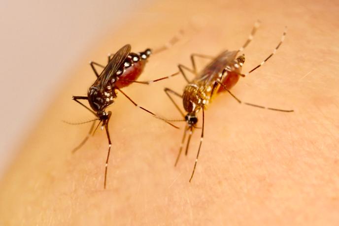 Two female