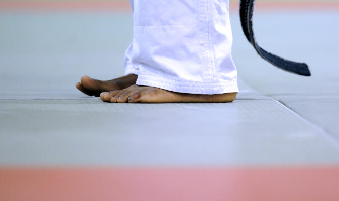 Session d’entraînement de judo, à l’Insep, en 2012.