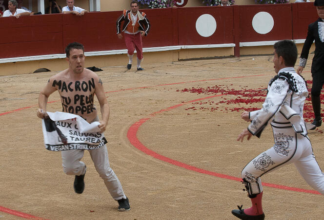 Un militant anti-corrida pénètre dans l’arène lors d’une course de taureaux, à Bayonne, en août 2017.