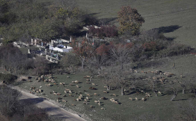An Armenian farmer gathers a flock of sheep near a cemetery in the village of Avdur, in Nagorno-Karabakh, on Tuesday 24 November.