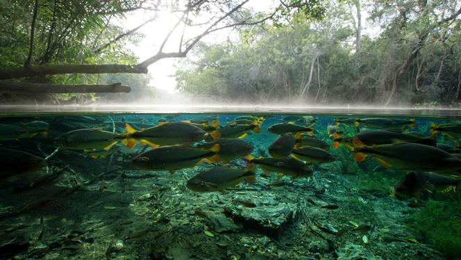 H2o L Eau La Vie Et Nous L Odysee D Une Molecule Feconde