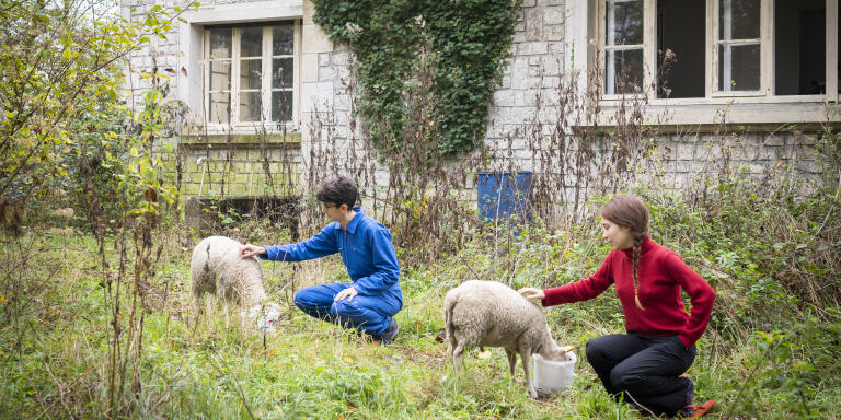 HELENE (en bleu) et LENA (en rouge), membres de XR  et les moutons donnes par un agriculteur voisin - XR (Extinction Rebellion) et le conflit autour de la MER (Maison de l'Ecologie et des Resistances) installee dans les locaux de l'ancienne Bourse d'Affretement de la Batellerie. Saint-Mammes (77).