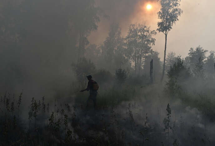 A forest fire near the village of Basly in the Omsk region of Russia on 11 August 2020.