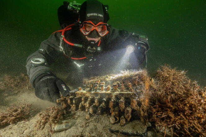 L’archéologue sous-marin Florian Huber inspecte la machine de cryptage Enigma, dans la baie de Gelting (Allemagne), découverte le 11 novembre.