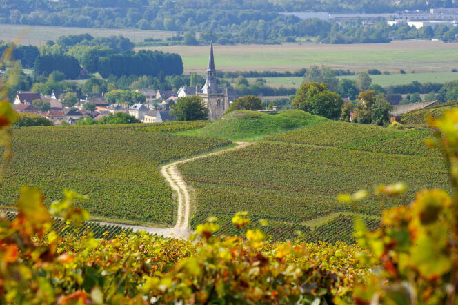 Aÿ-Champagne, vue sur le village et vignoble.