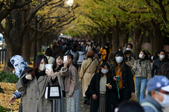 Des promeneurs venus admirer les feuillages de l’automne à Tokyo, le 28 novembre.