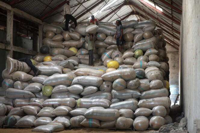 Des ouvriers empilent des sacs de riz dans un entrepôt à Benue, au Nigeria, en 2019.