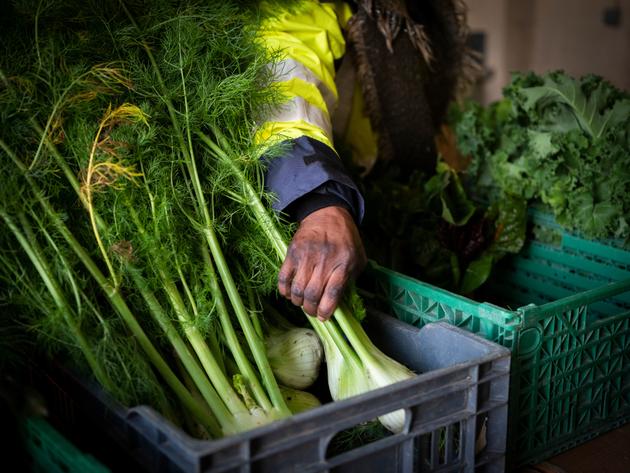 A l’association, les 18 salariés sont en insertion, en contrat aidé sur plusieurs mois.