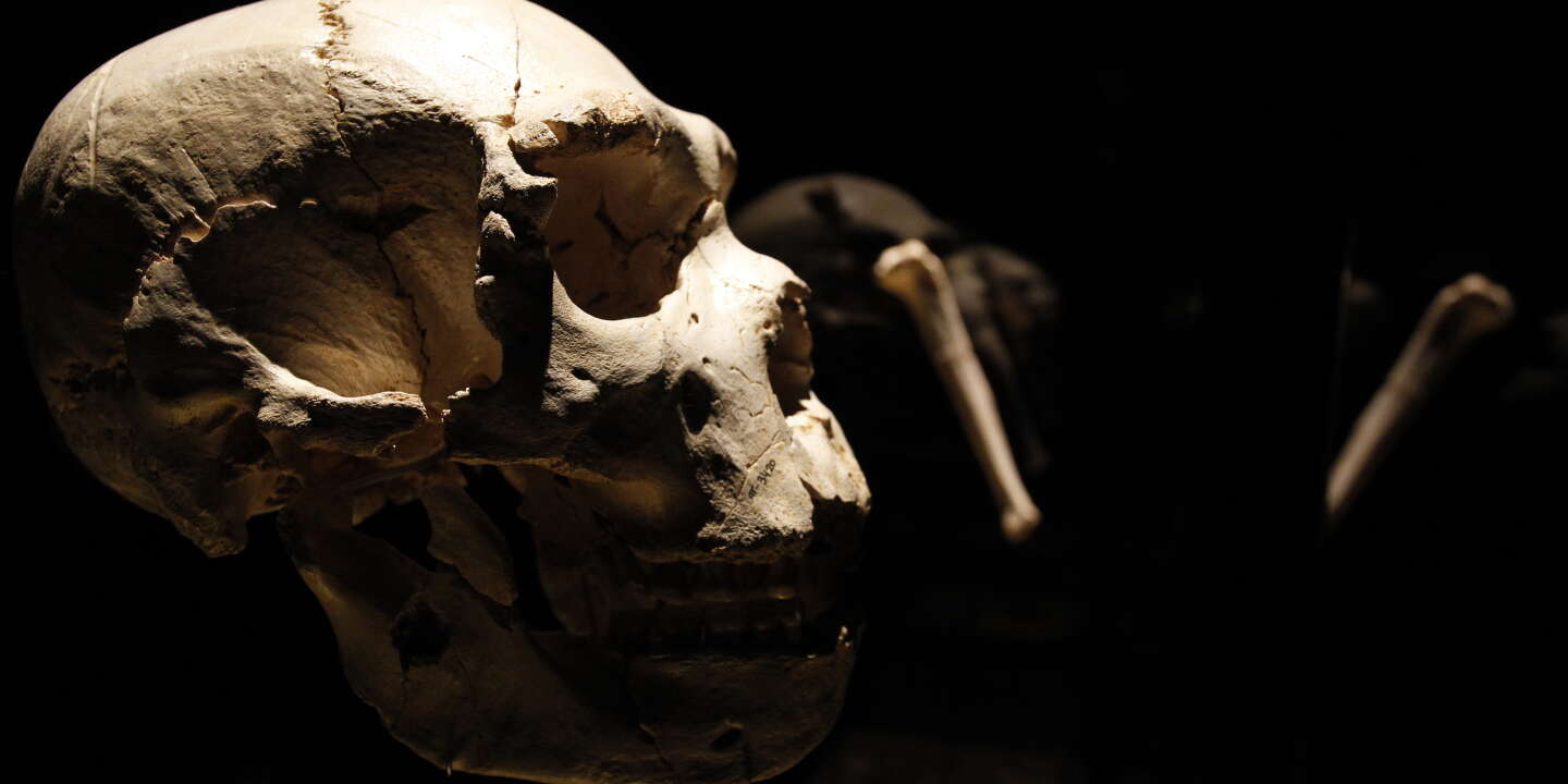 Photo of Les Néandertaliens ont peut-être hiberné pour survivre au froid extrême