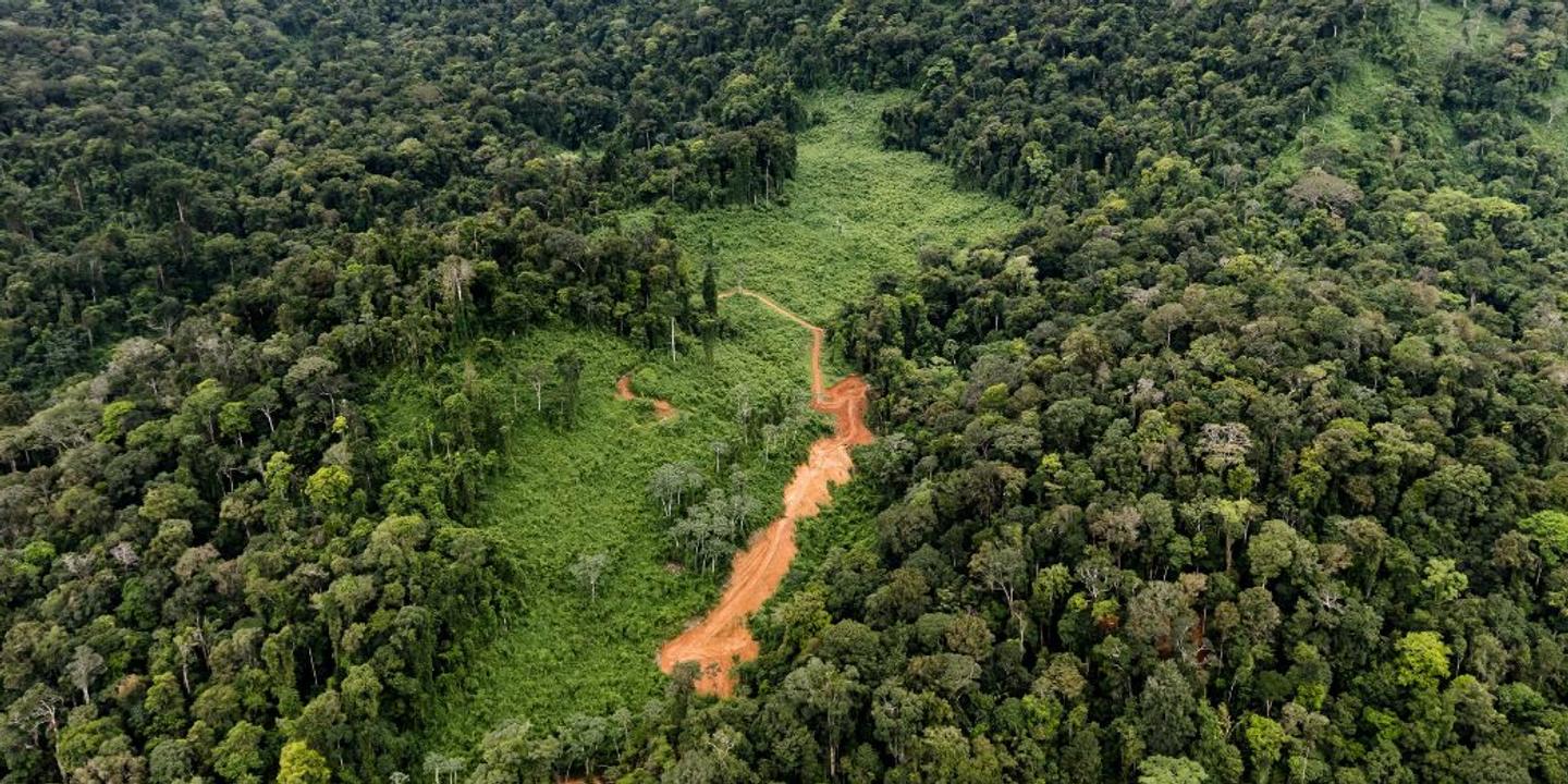 En Guyane, le projet minier Montagne d’or relancé par la justice