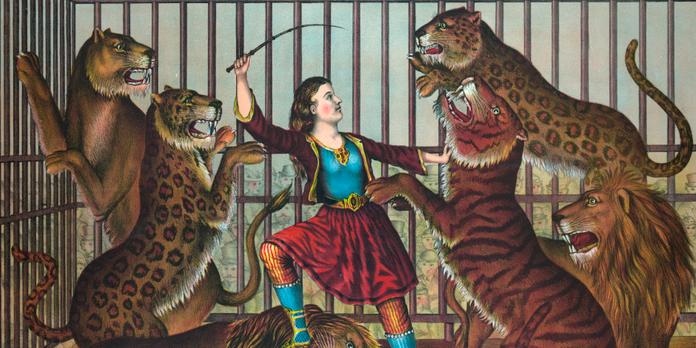 Il Est Faux De Penser Que Les Animaux Issus De La Faune Sauvage Sont En Situation De Maltraitance Au Sein De Nos Cirques