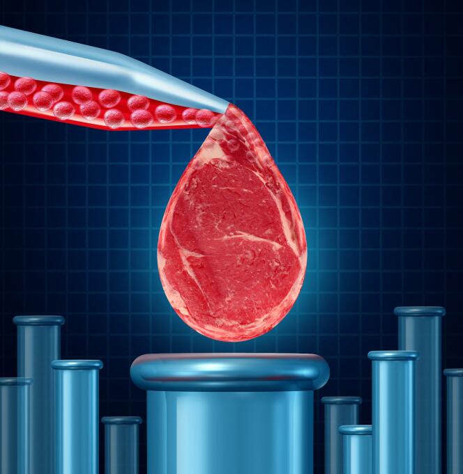 La viande « cultivée » en laboratoire à partir de cellules souches offrirait la promesse d’un aliment sans souffrance animale et à moindre impact environnemental.