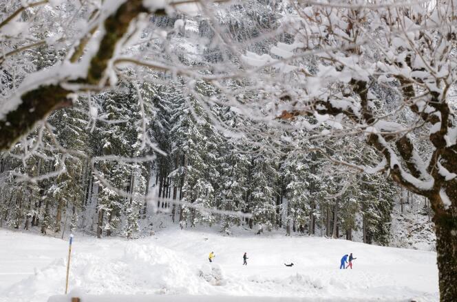 Des skieurs de fond, près d’Oberstdorf (Allemagne), le 27 décembre 2020.