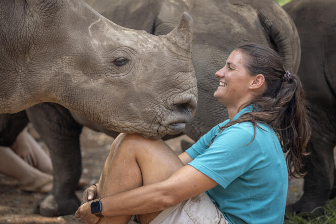 Une soigneuse en compagnie de jeunes rhinocéros dans l’orphelinat de la province du Limpopo, en Afrique du Sud, le 9 janvier 2021.