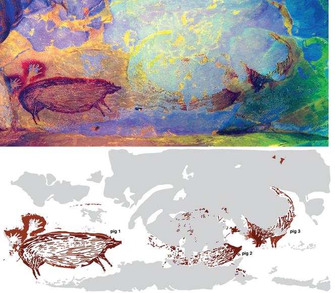 Reproduction en fausses couleurs du panneau présentant plusieurs suidés peints il y a au moins 45 500 ans dans la grotte de Leang Tedongnge (Sulawesi).