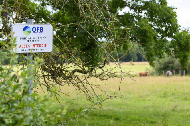 Une aire protégée près du lac de Madine, à Nonsard-Lamarche, dans la Meuse, le 2 juillet 2020.