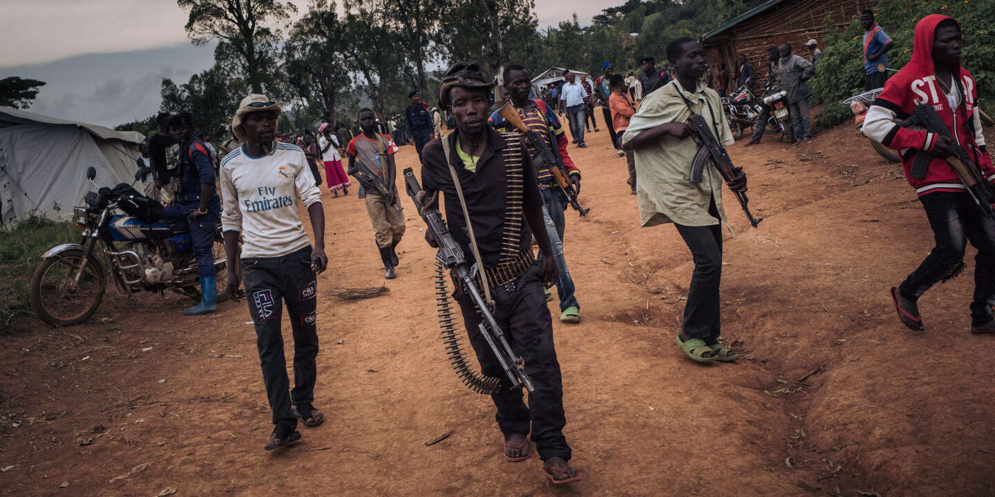 « La RDC ne devrait pas récompenser ceux qui ont pris les armes contre elle »