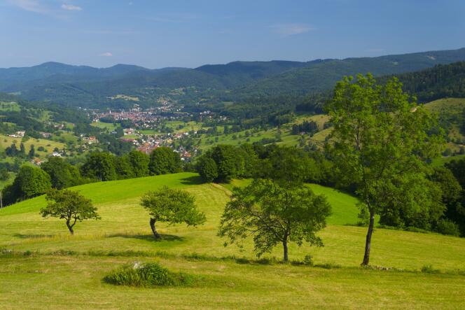 Dans le parc naturel régional des Ballons des Vosges, un programme « quiétude altitude » a été créé depuis 2015.