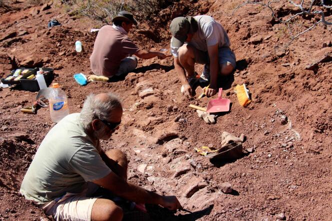 L’équipe de chercheurs dégage des os de dinosaure lors de fouilles dans la vallée de la rivière Neuquén en Argentine, en janvier.