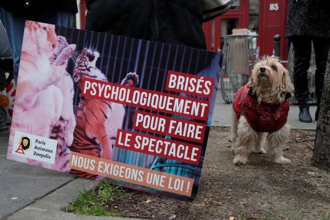 Des groupes de défense des animaux manifestent pour exiger une loi pour les animaux près de l’Assemblée nationale, à Paris, le 26 janvier 2021.