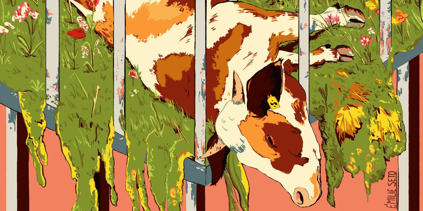 Les Paradoxes De La Longue Bataille Pour Le Bien Etre Animal Les Paradoxes De La Longue Bataille Pour Le Bien Etre Animal