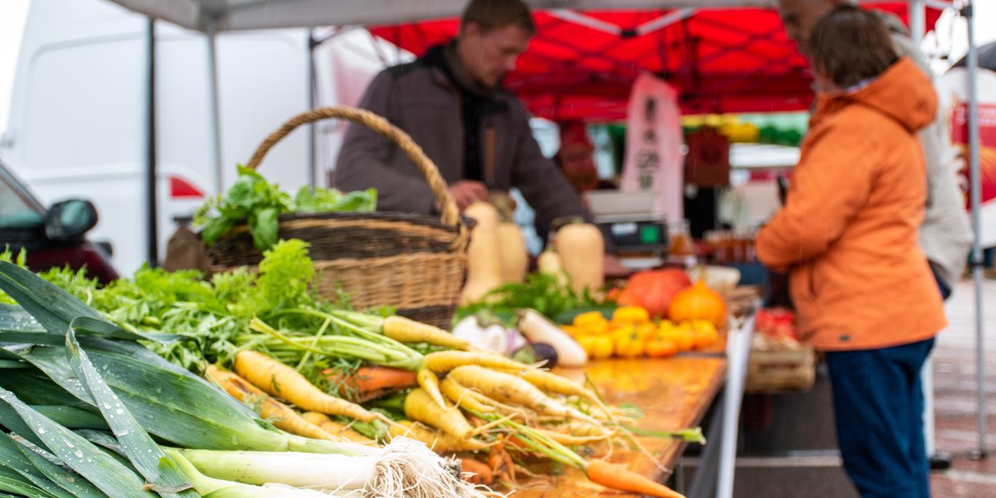 Du terril au terreau, Douai mise sur une filière d’alimentation bio et locale