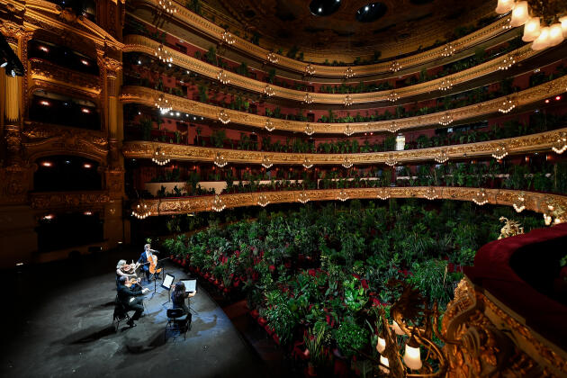 22 juin 2020. Le quatuor à cordes UceLi joue devant un public fictif composé de plantes vertes, à Barcelone, en Espagne, alors que la ville est confinée.