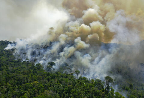 Aerial view of a burning area of Amazon rainforest reserve, south of Novo Progresso in Para state, on August 16, 2020. (Photo by CARL DE SOUZA / AFP)