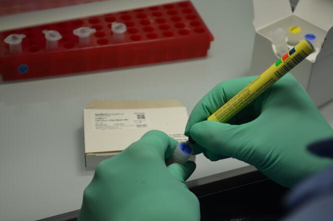 Etiquetage d’une fiole contenant le produit utilisé pour le séquençage du Covid-19, au laboratoire Krisp, à Durban, en décembre 2020.