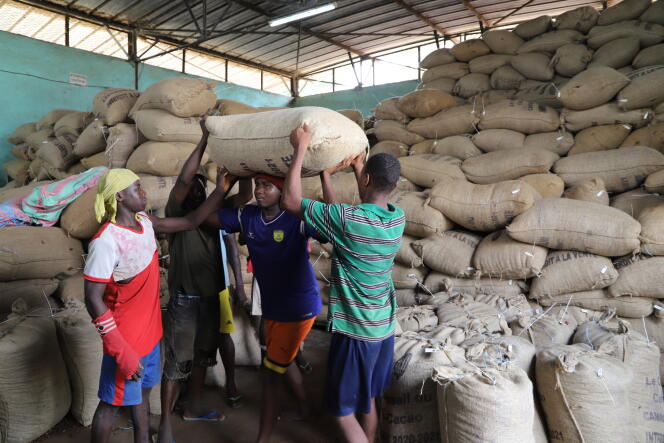 Dans l’un des magasins des coopératives de la Nawa, stocks de cacao brut en attente d’un camion pour le port de San Pedro, dans le sud-ouest de la Côte d’Ivoire, fin janvier 2021.